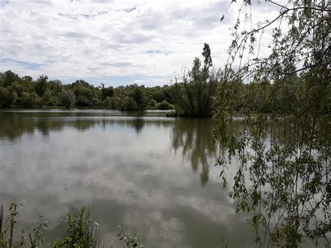 A 6 acre, family run fishery and managed by a highly respected carp angler who has worked hard to make Lagune Lassi one of the very best venues for Carp Fishing in France. . Carp lakes champagne region france
